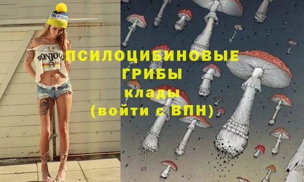 ECSTASY Балабаново