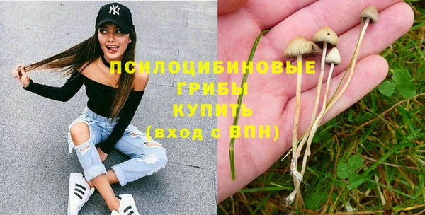молекула духа Баксан
