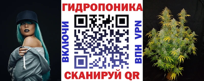 Бошки марихуана план Белёв